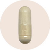 Probiotic Complex