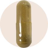 GI Microb-X™