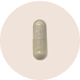 Lactoferrin Supplement