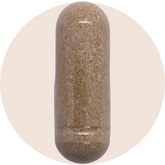 Chinese Skullcap