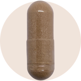 Fucoidan Extract