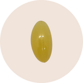 Plant Sterols