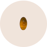 Saw Palmetto