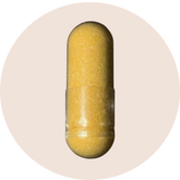 Ginger Root Extract