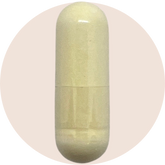 Cellular Longevity Pro Capsules - Urolithin A 500mg