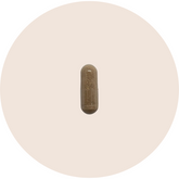 Liver support