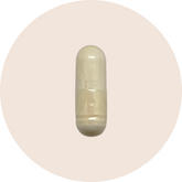 Transbiotic
