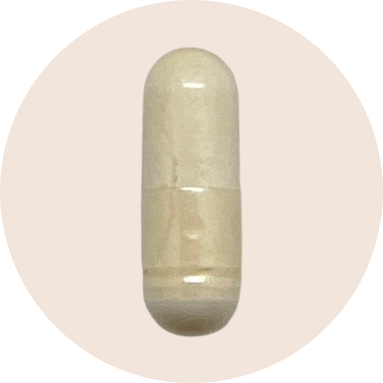 Probiotic Complex