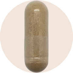 Nrf2 Renew® Nutrient Nrf2 Inducers*
