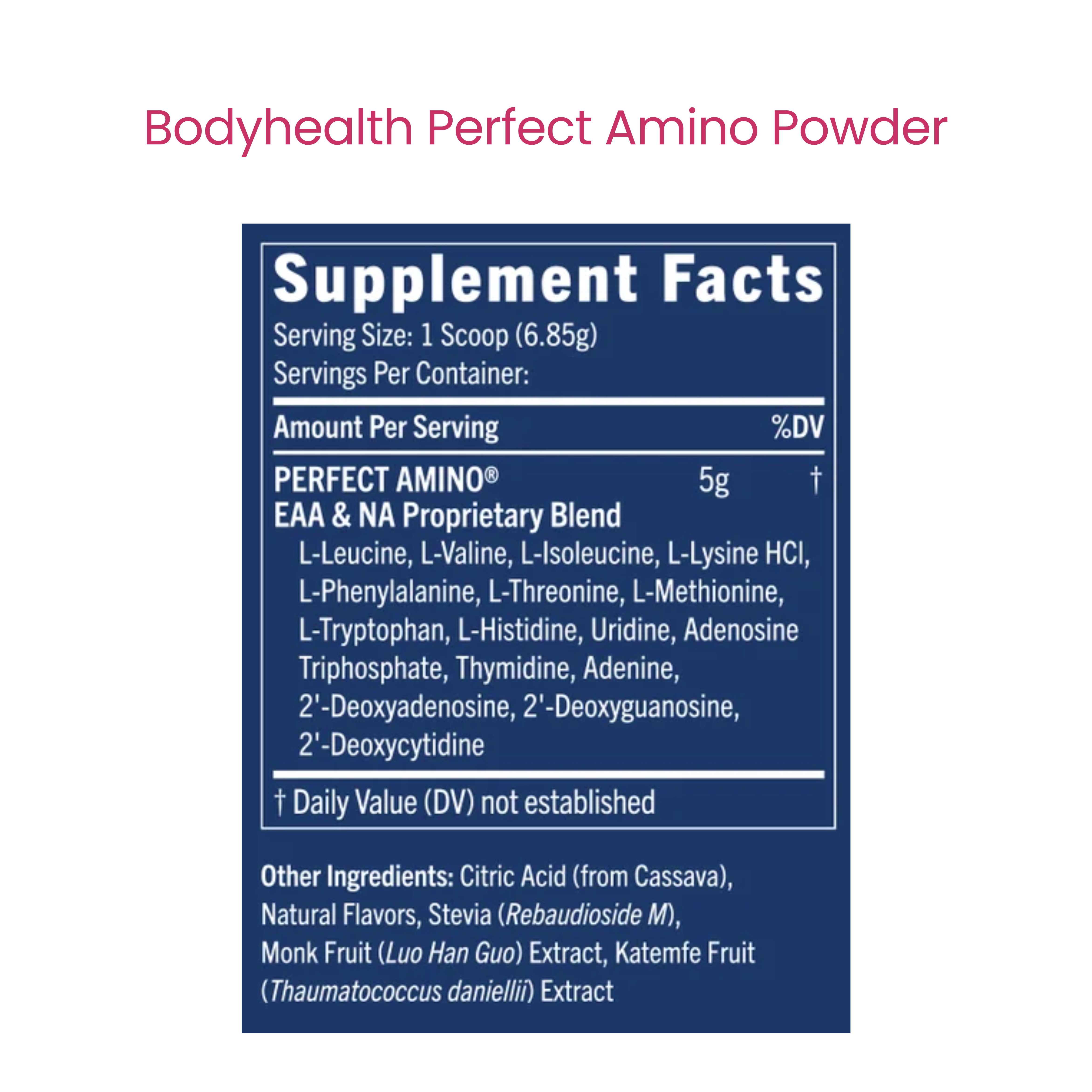 Perfect Amino Powder