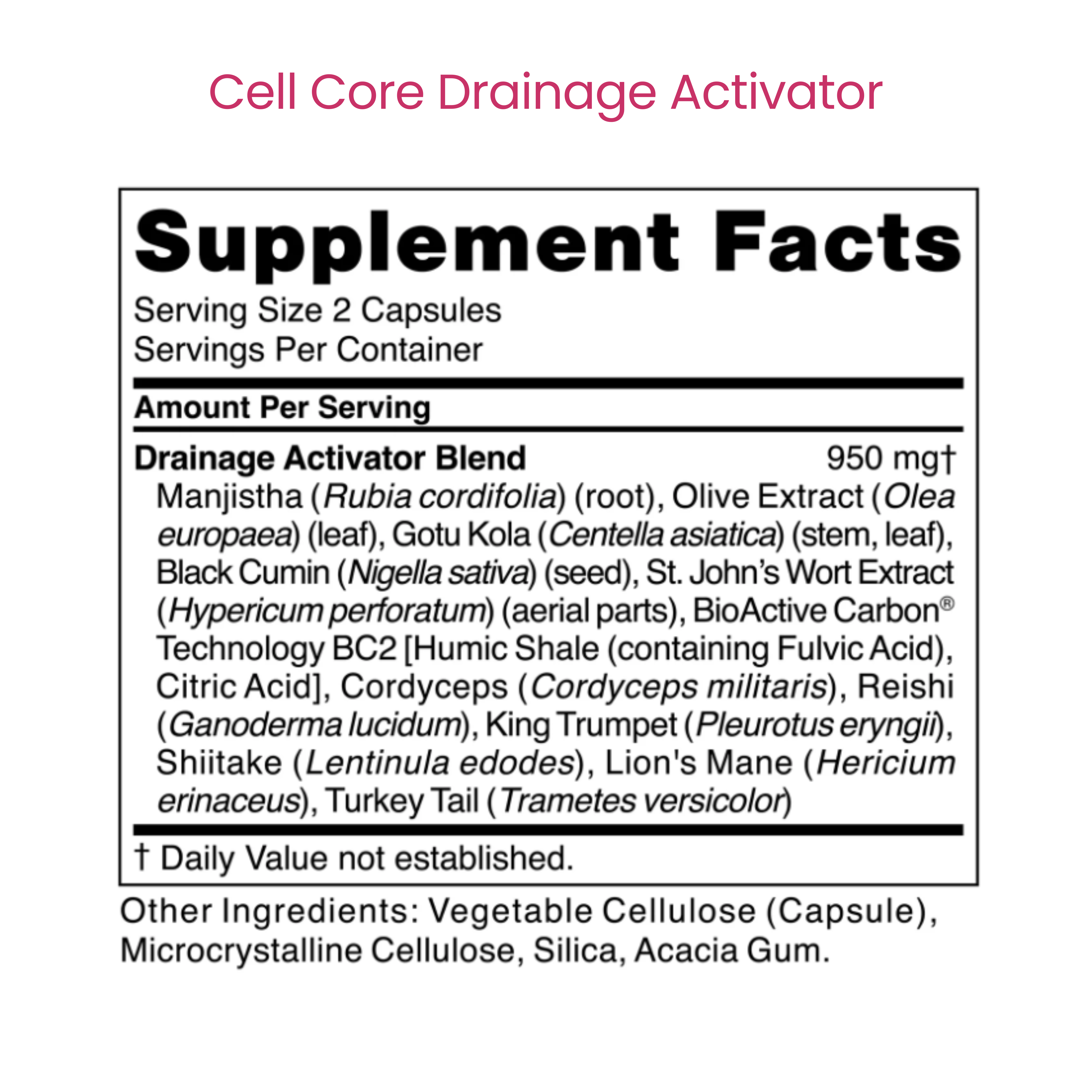 Drainage Activator