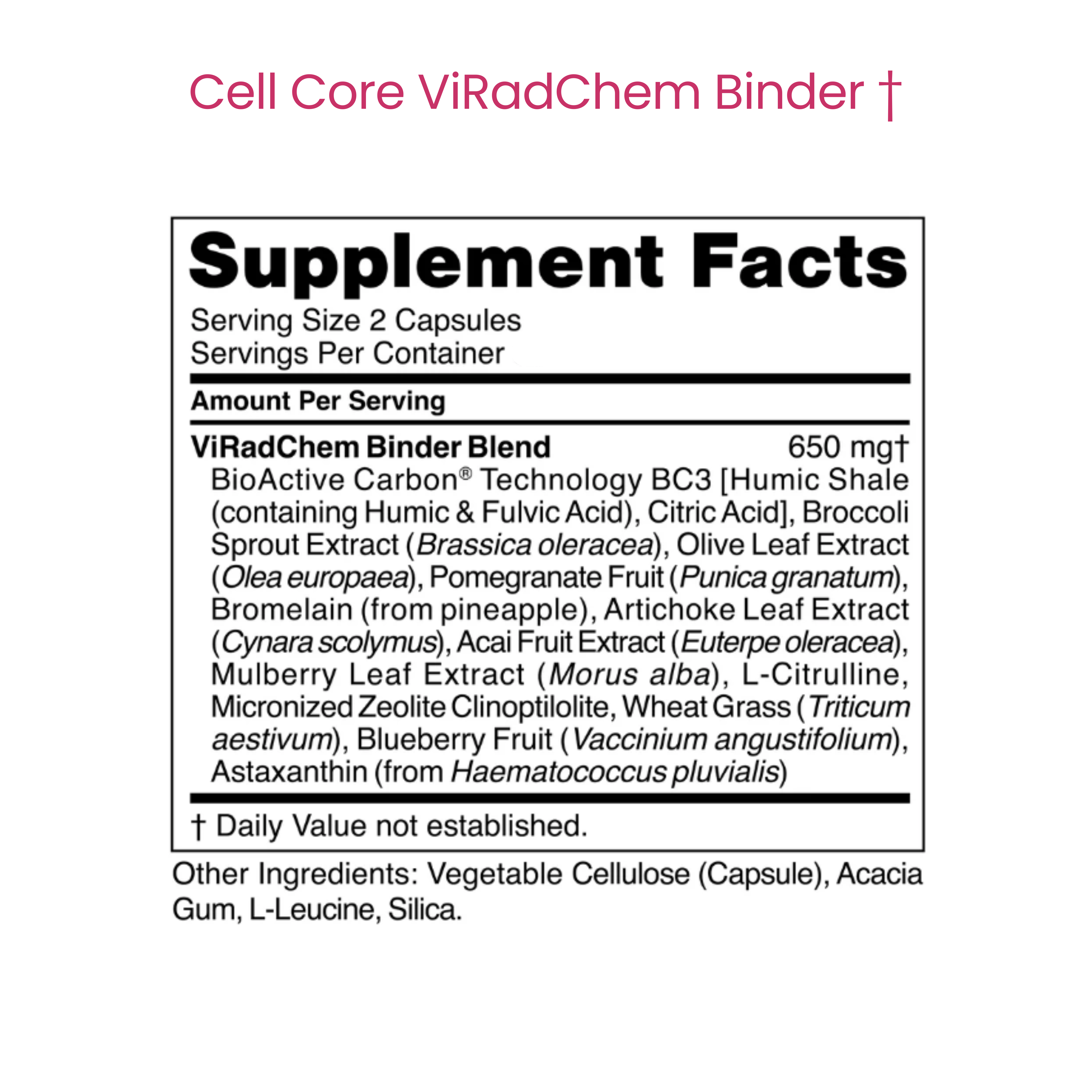 ViRadChem Binder †