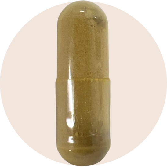 GI Microb-X™