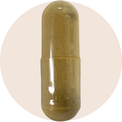 GI Microb-X™