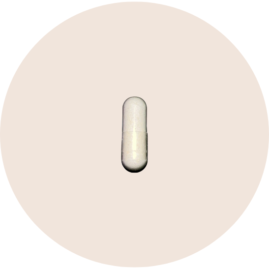 Plant Enzyme Digestive Formula