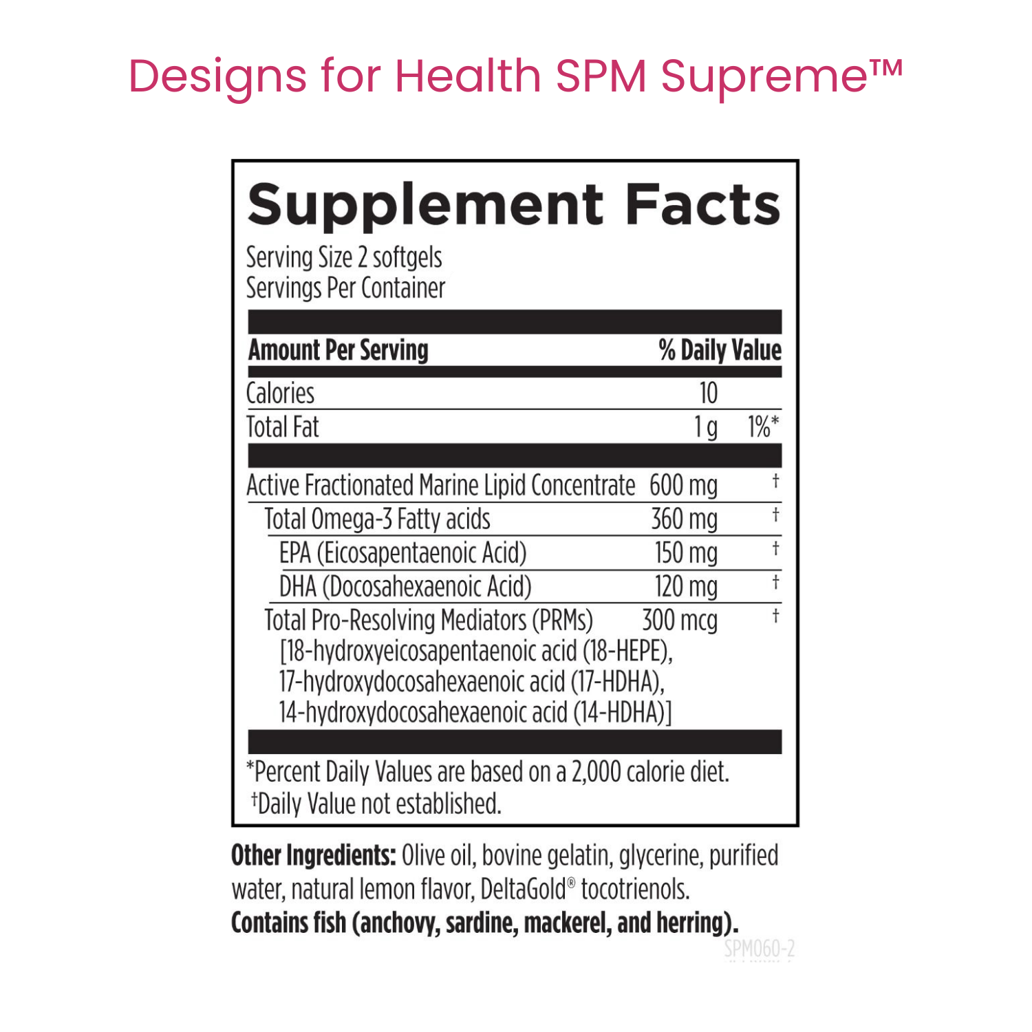Dr. Shivani Gupta | Foundational Stack