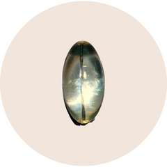 Tri-Butyrin Supreme™