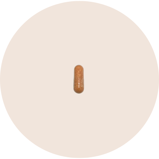 Saffron Extract Supplement
