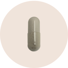 Serrapeptase Supplement