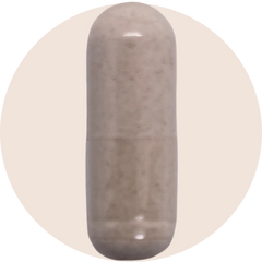 PRIME GUT HEALTH