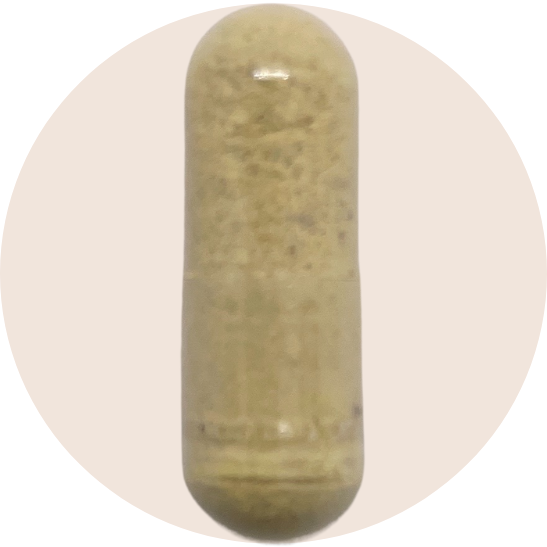 Essential Multivitamin