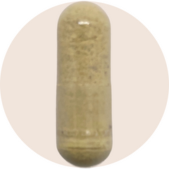 Essential Multivitamin