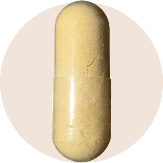 Tongkat Ali