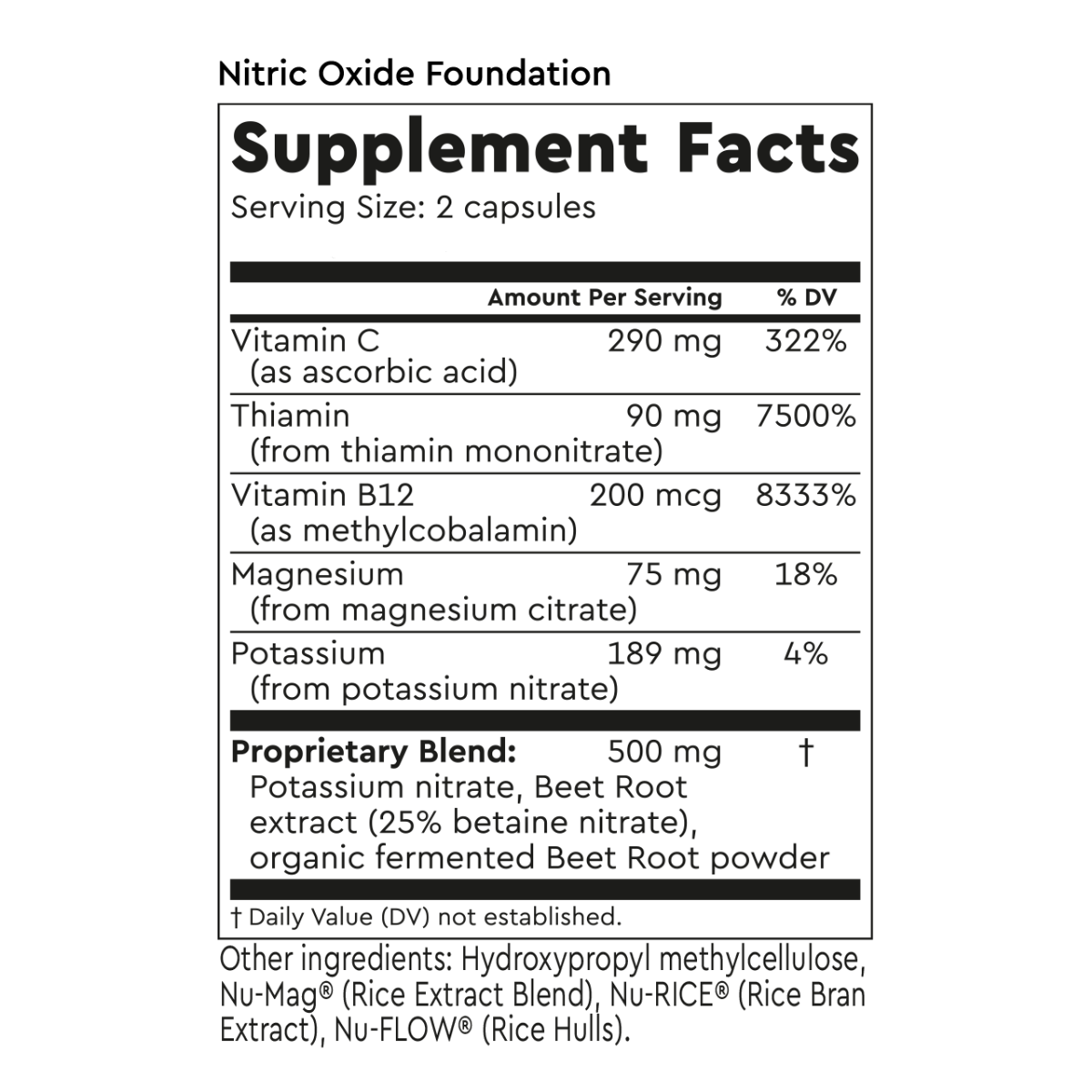 Nitric Oxide Foundation