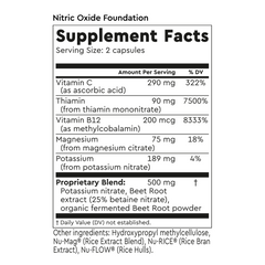 Nitric Oxide Foundation