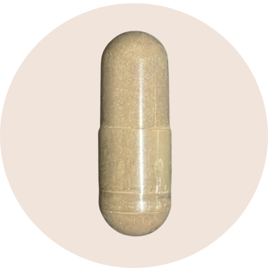Polyphenol Booster