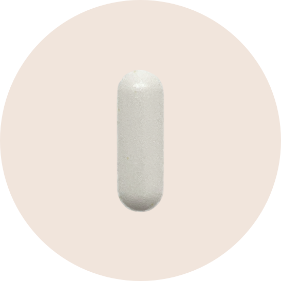 Energized Double Zinc Guard