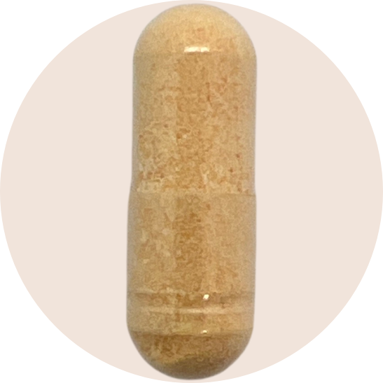 Activated B-Complex - High Potency