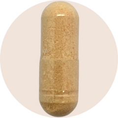 Activated B-Complex - High Potency