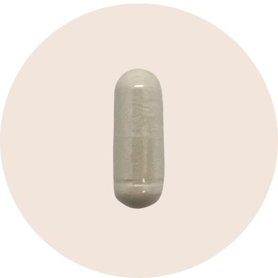 Suntheanine L-Theanine