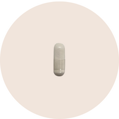 DHEA 10mg