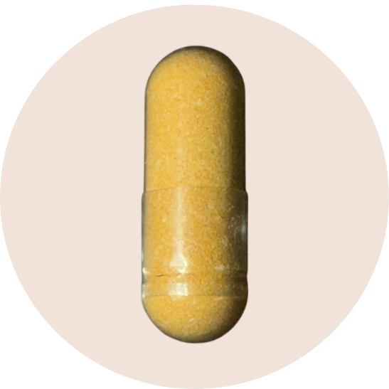 Ginger Root Extract