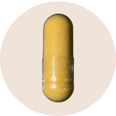 Ginger Root Extract