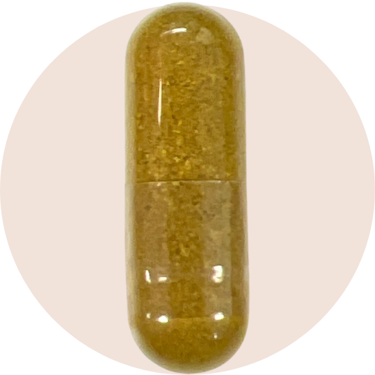 Psyllium Husks
