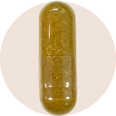Psyllium Husks