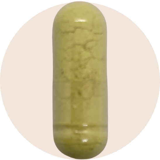 Thyroid Essentials