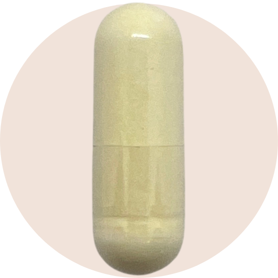 Cellular Longevity Pro Capsules - Urolithin A 500mg