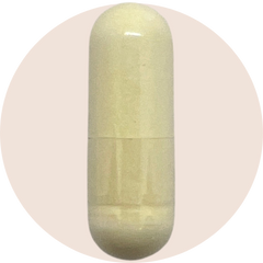 Cellular Longevity Pro Capsules - Urolithin A 500mg