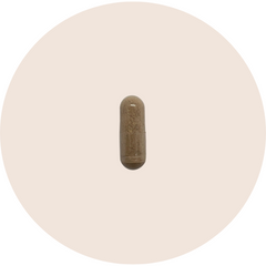 Liver support