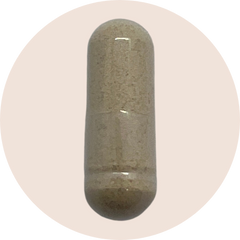 Qualia Mind 2.0