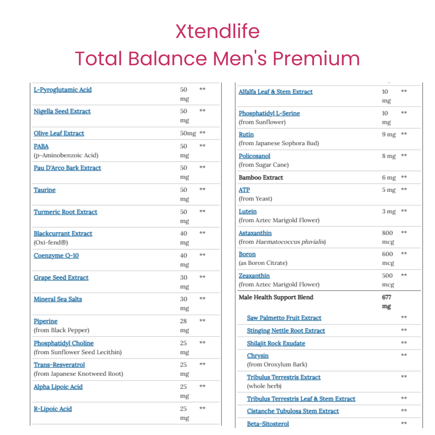 Total Balance Men's Premium